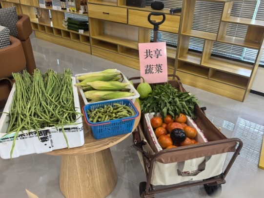 “共享蔬菜”,讓社區(qū)里的共享故事溫暖升級.jpg